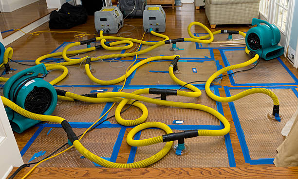 Professional Water Damage Repair technician working in Rheems, PA